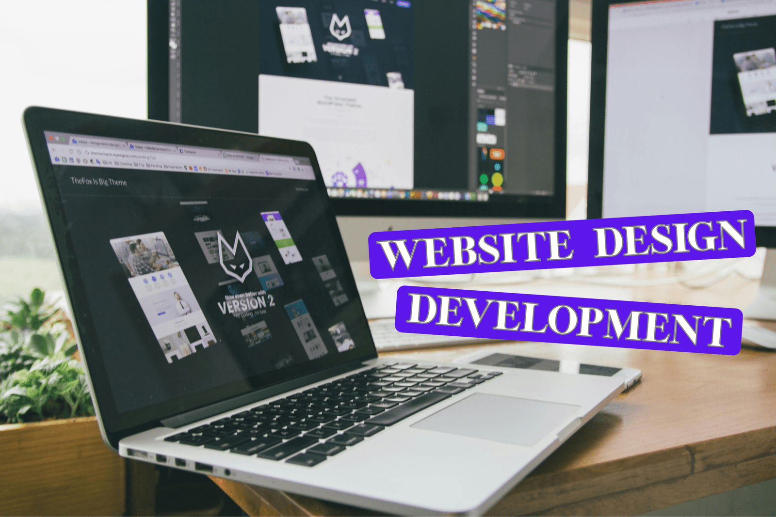 Website Design & Development
